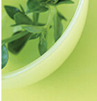 Basil and Spice Blog