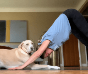 Downward-Facing Dog